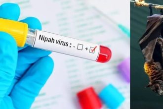 Nipah Virus in Kerala