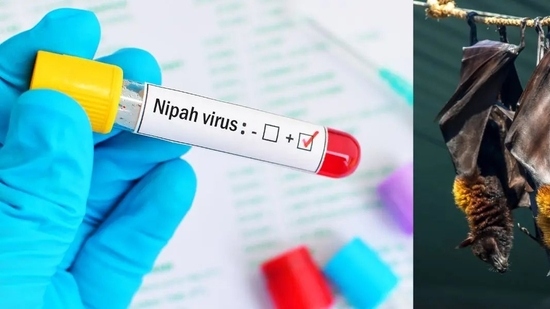 Nipah Virus in Kerala